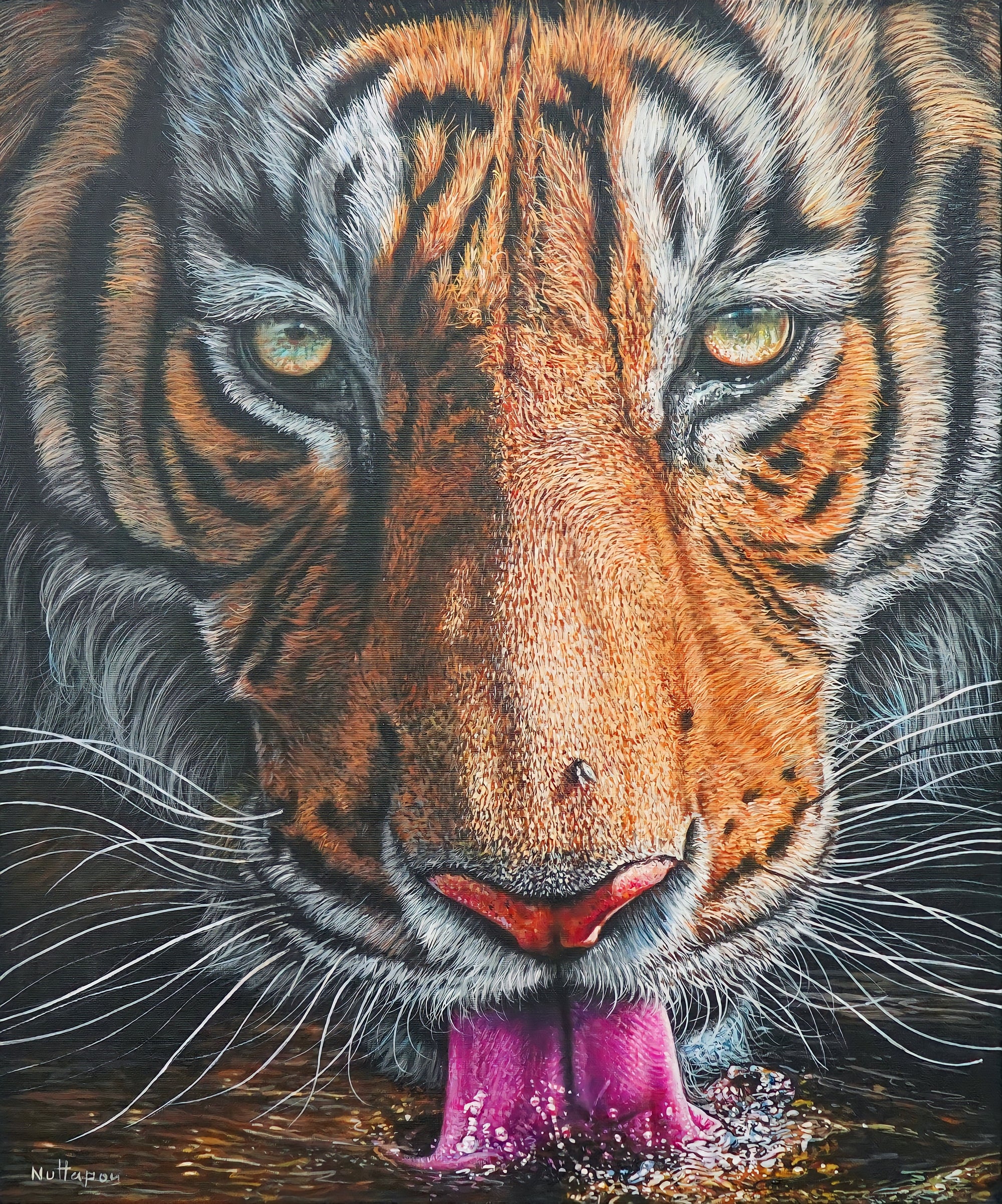 Tigre qui boit de l'eau - 50 X 60 cm