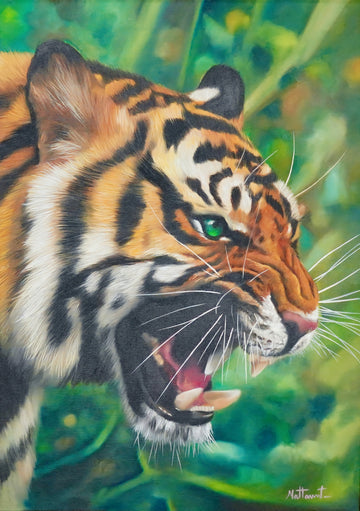 La rage du tigre II - 50 x 70 cm