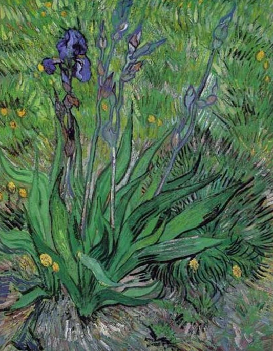 Les iris II - Van Gogh