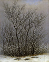 Arbres et arbustes sous la neige - Caspar David Friedrich