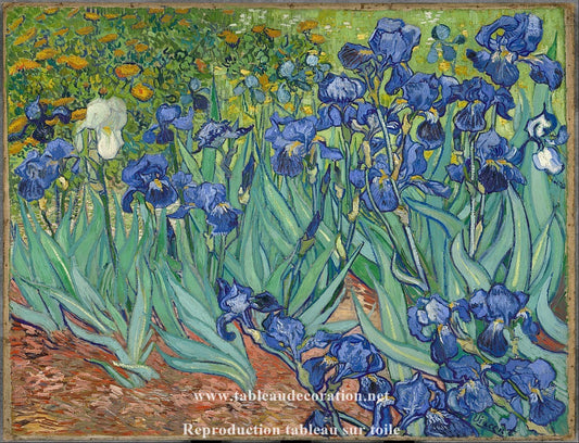Les Iris - Van Gogh
