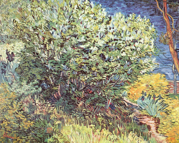Les Lilas - Van Gogh