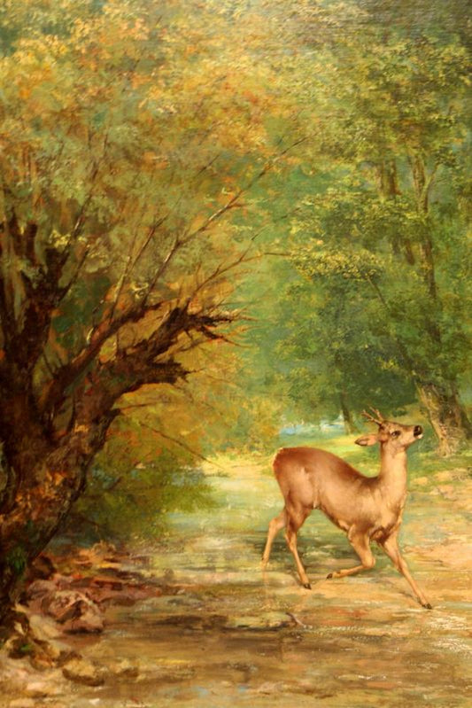 Witterndes cerf - Gustave Courbet