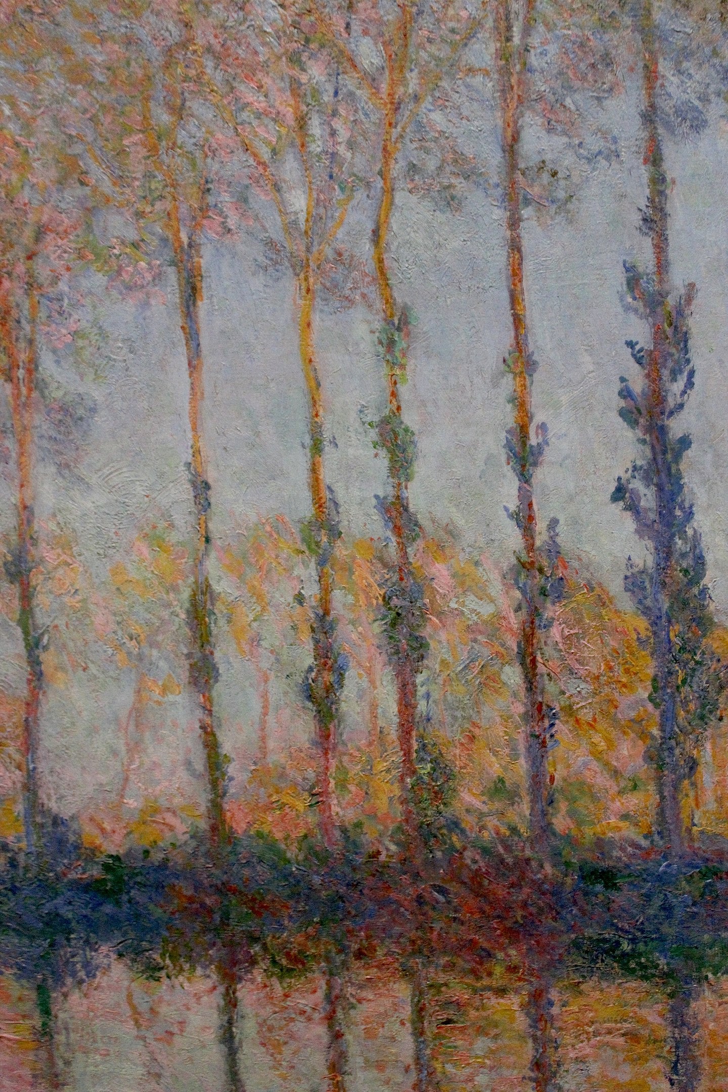 Les Peupliers, effet blanc et jaune - Claude Monet