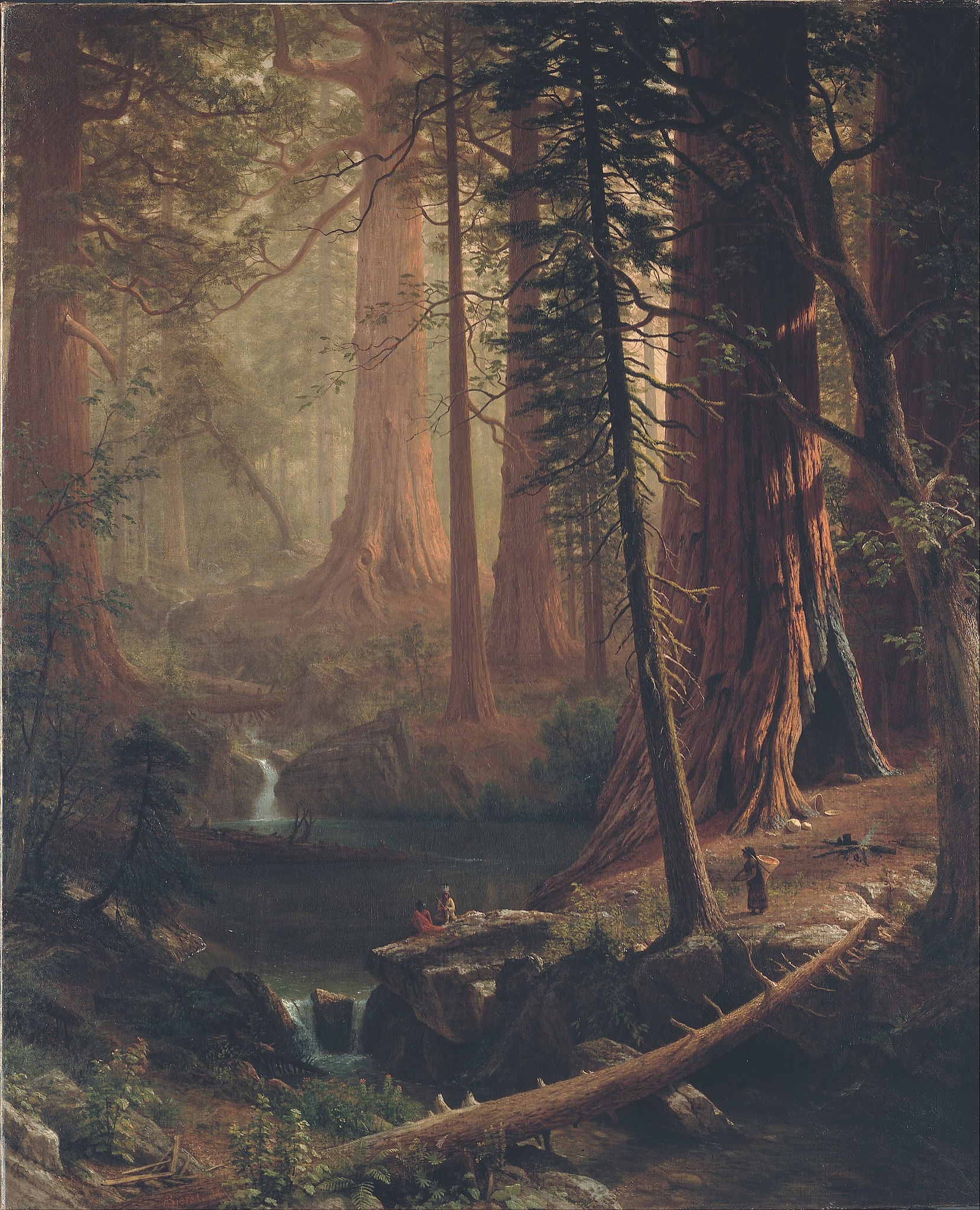 Les séquoias géants de Californie - Albert Bierstadt