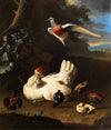 Une poule et ses poussins avec une colombe en vol près d'un arbre - Melchior d'Hondecoeter
