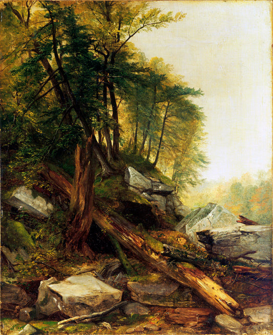 Paysage de Kaaterskill - Asher Brown Durand