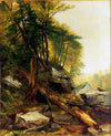 Paysage de Kaaterskill - Asher Brown Durand
