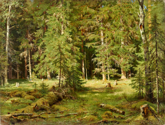Anagorie de Wald - Ivan Shishkin