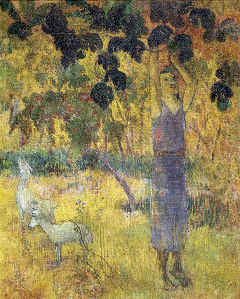 Homme cueillant des fruits sur un arbre - Paul Gauguin