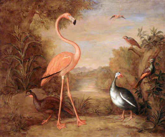 Différents types d'oiseaux (avec un flamant rose) - Tobias Stranover