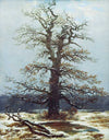 Chêne dans la neige - Caspar David Friedrich