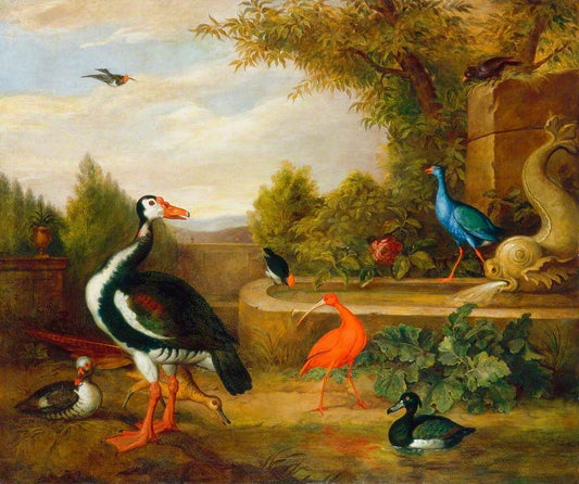 Différents types d'oiseaux (avec un martin-pêcheur et une fontaine) - Tobias Stranover