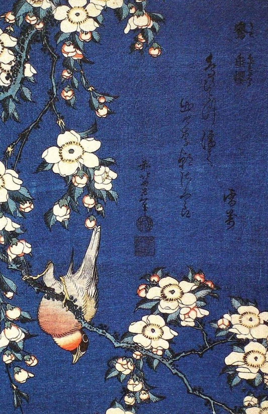 bouvreuil et fleurs de cerisier pleureur - Katsushika Hokusai