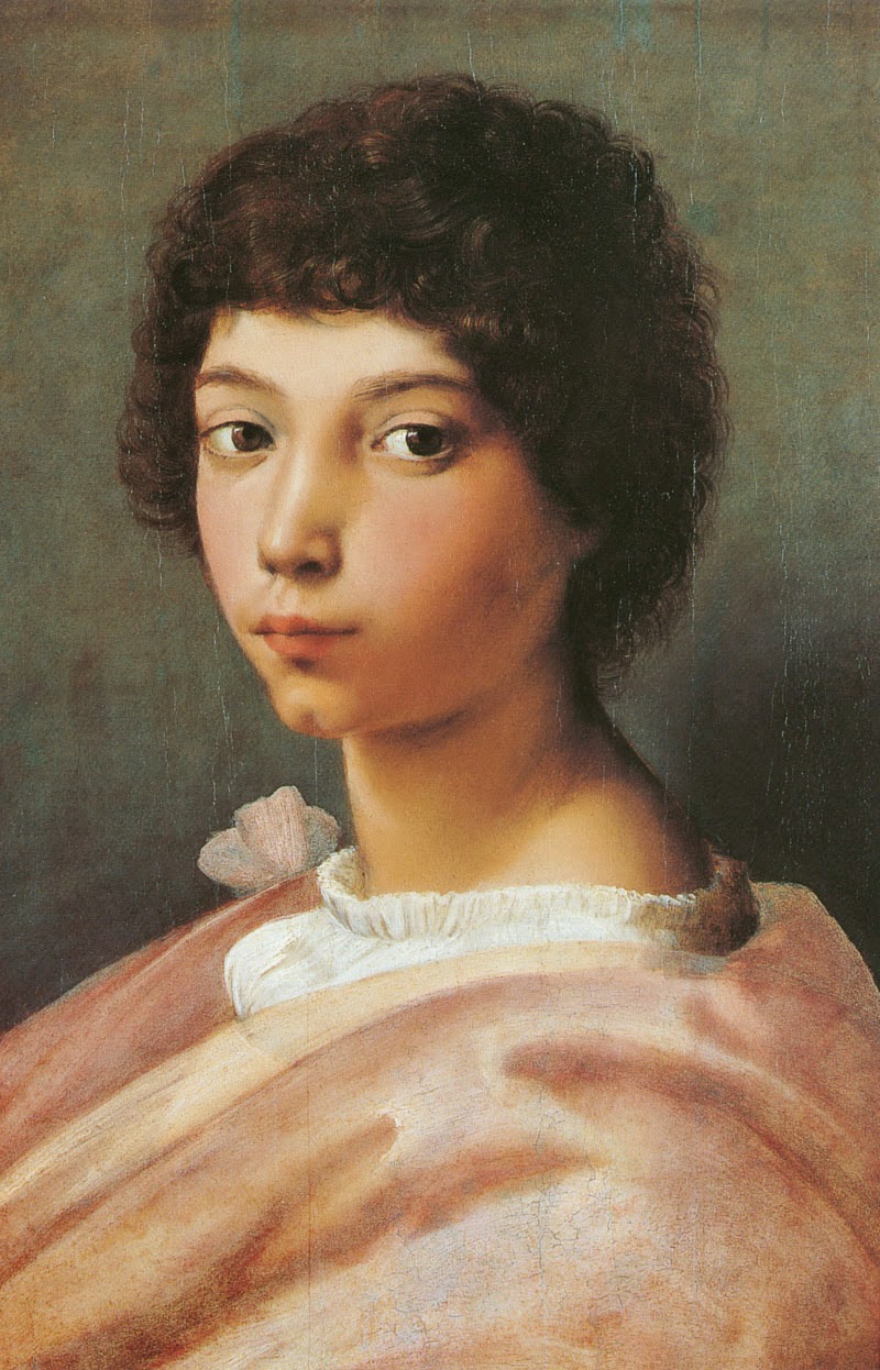 Portrait d'un jeune homme - Raphaël (peintre)