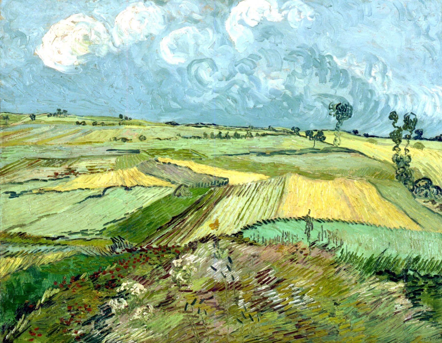 Champs de blé après la pluie - Van Gogh