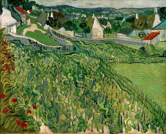 Vignobles d'Auvers - Van Gogh