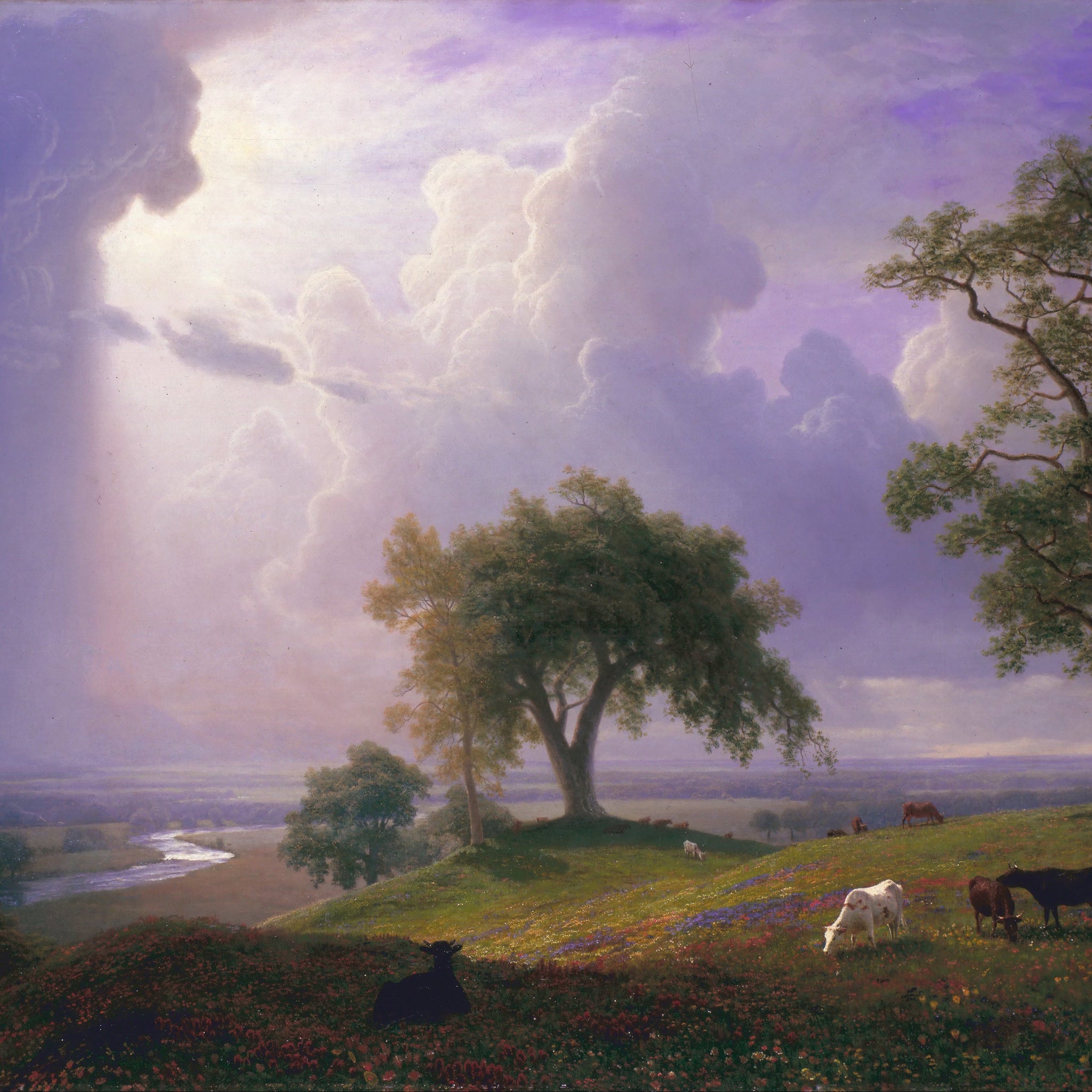 Printemps california - Albert Bierstadt