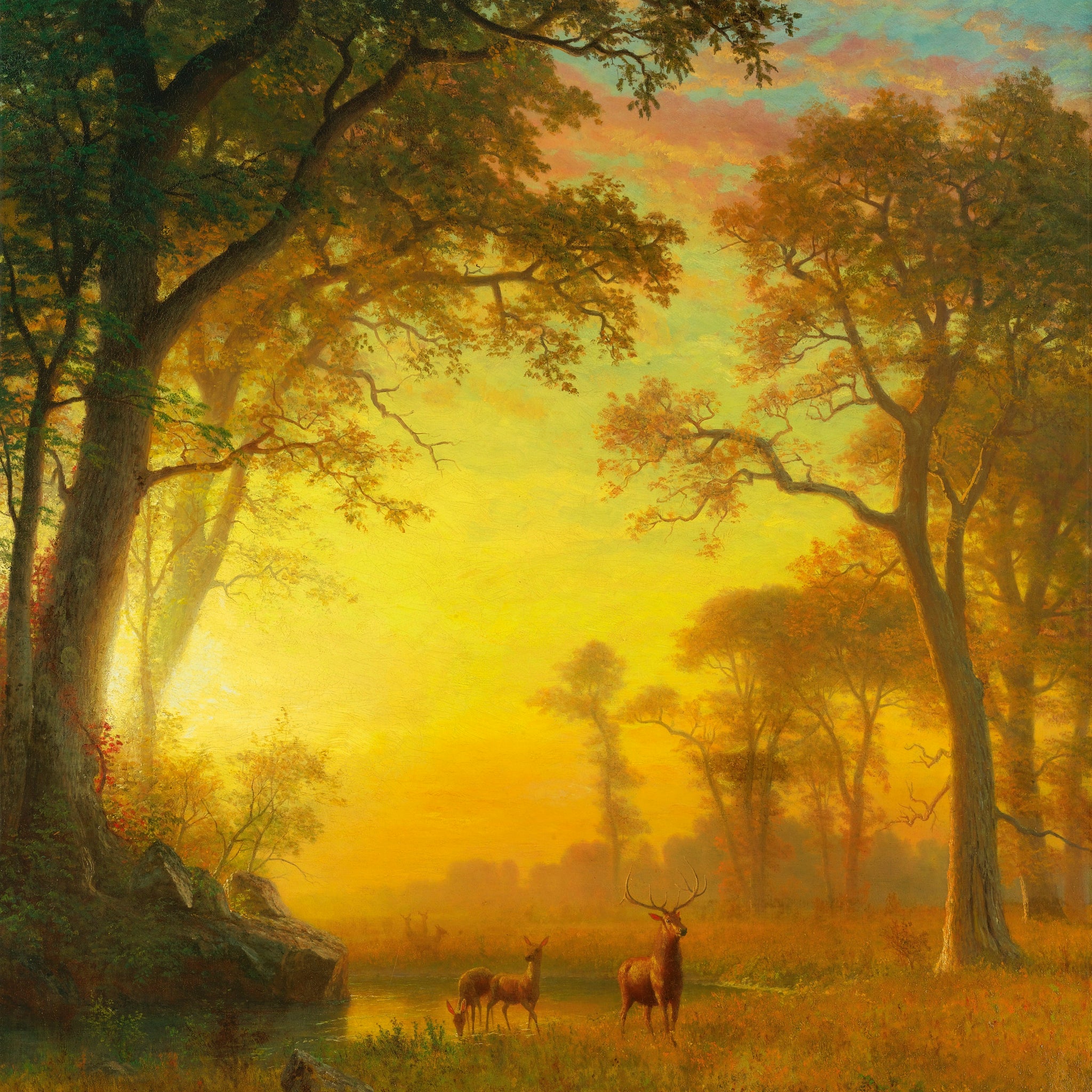 Lumière dans la forêt - Albert Bierstadt