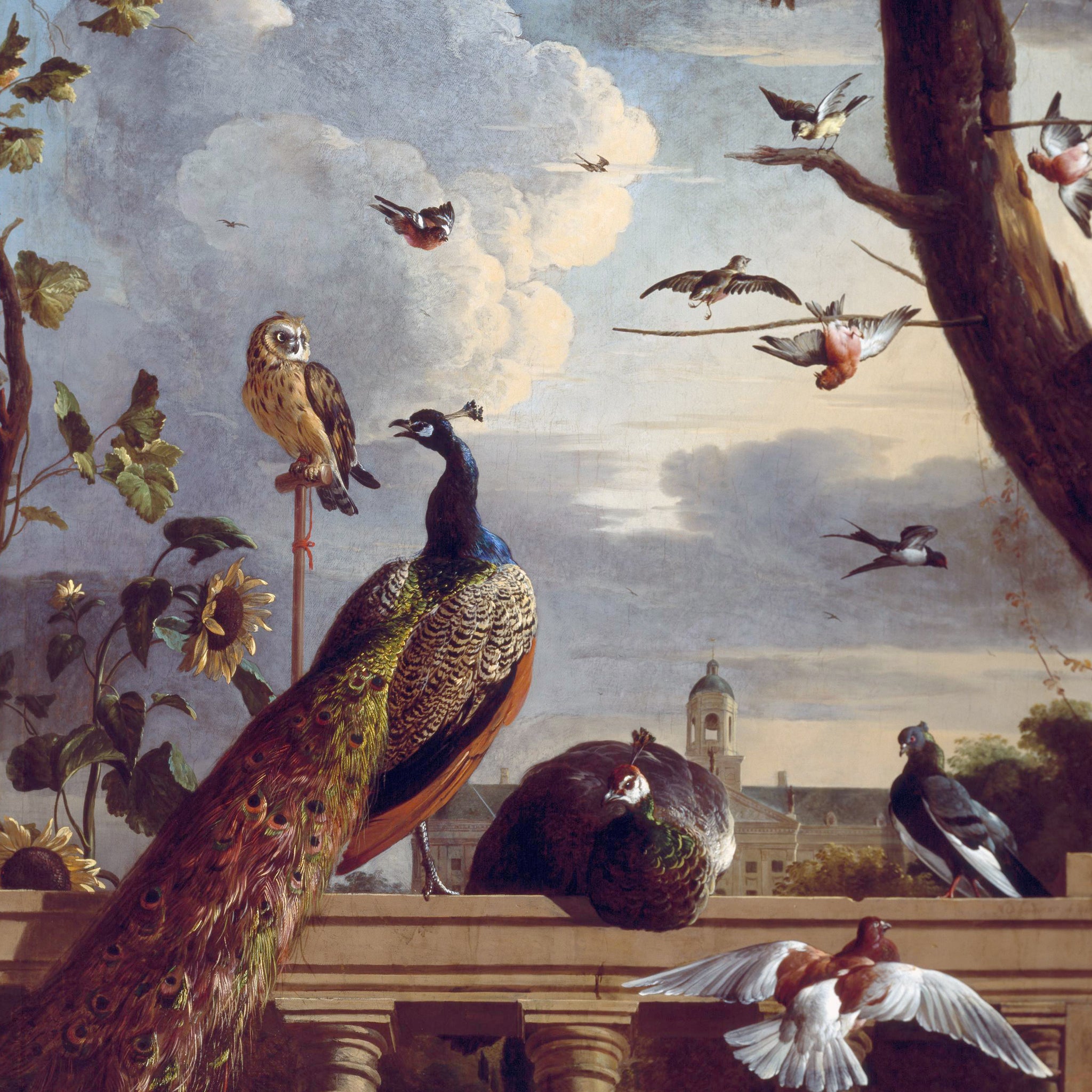 Oiseaux près d'une balustrade - Melchior d'Hondecoeter