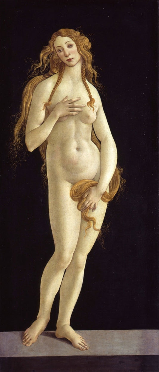 Botticelli (Atelier), Naissance de Vénus - Sandro Botticelli