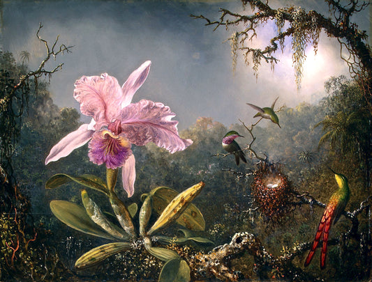 Orchidée Cattleya et trois colibris - Martin Johnson Heade
