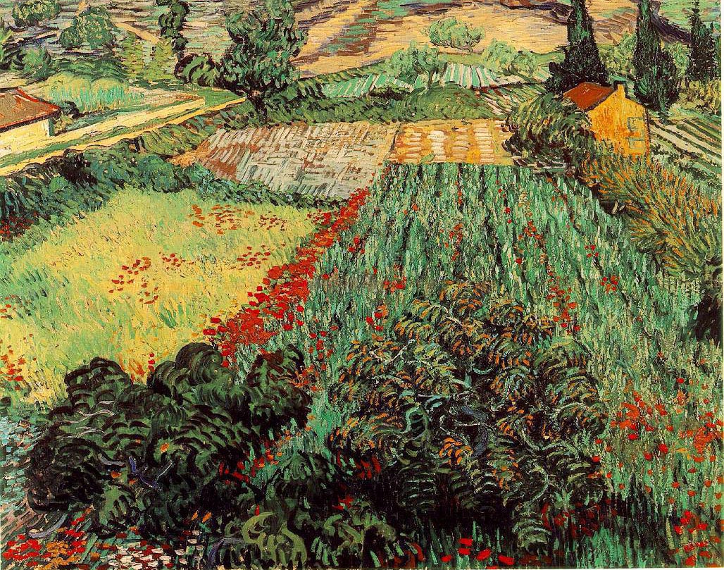 Champs aux coquelicots - Van Gogh