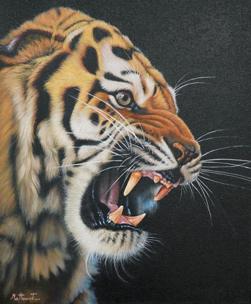 Tigre enragé - 50 x 60 cm