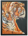 Couple de tigres - 60 X 80 cm