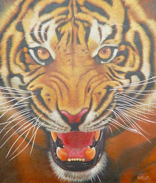 La force du tigre - 95 x 105 cm