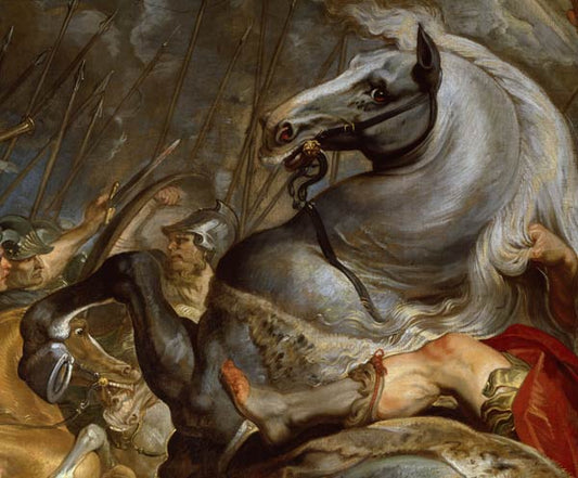 La bataille (Détail : le cheval de Decius Mus) - Peter Paul Rubens