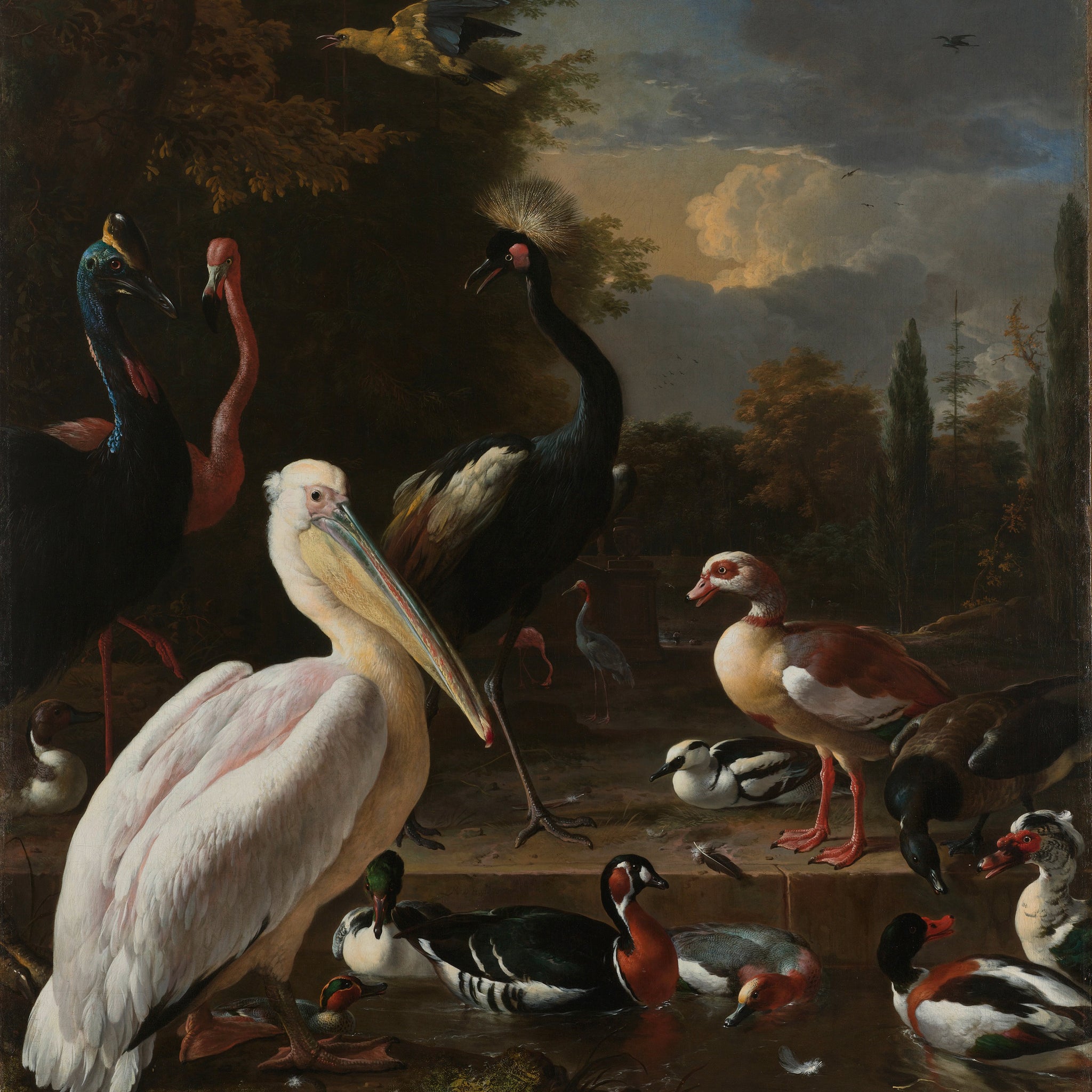 Un pélican et d'autres oiseaux dans une mare, 1680 - Melchior d'Hondecoeter