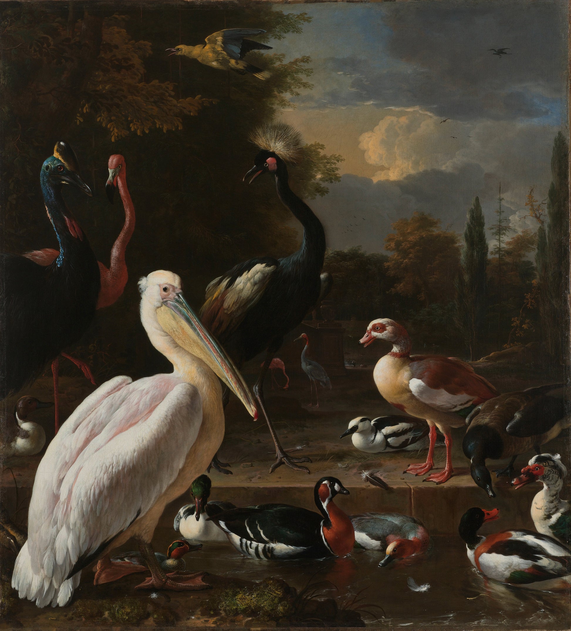 Un pélican et d'autres oiseaux dans une mare, 1680 - Melchior d'Hondecoeter