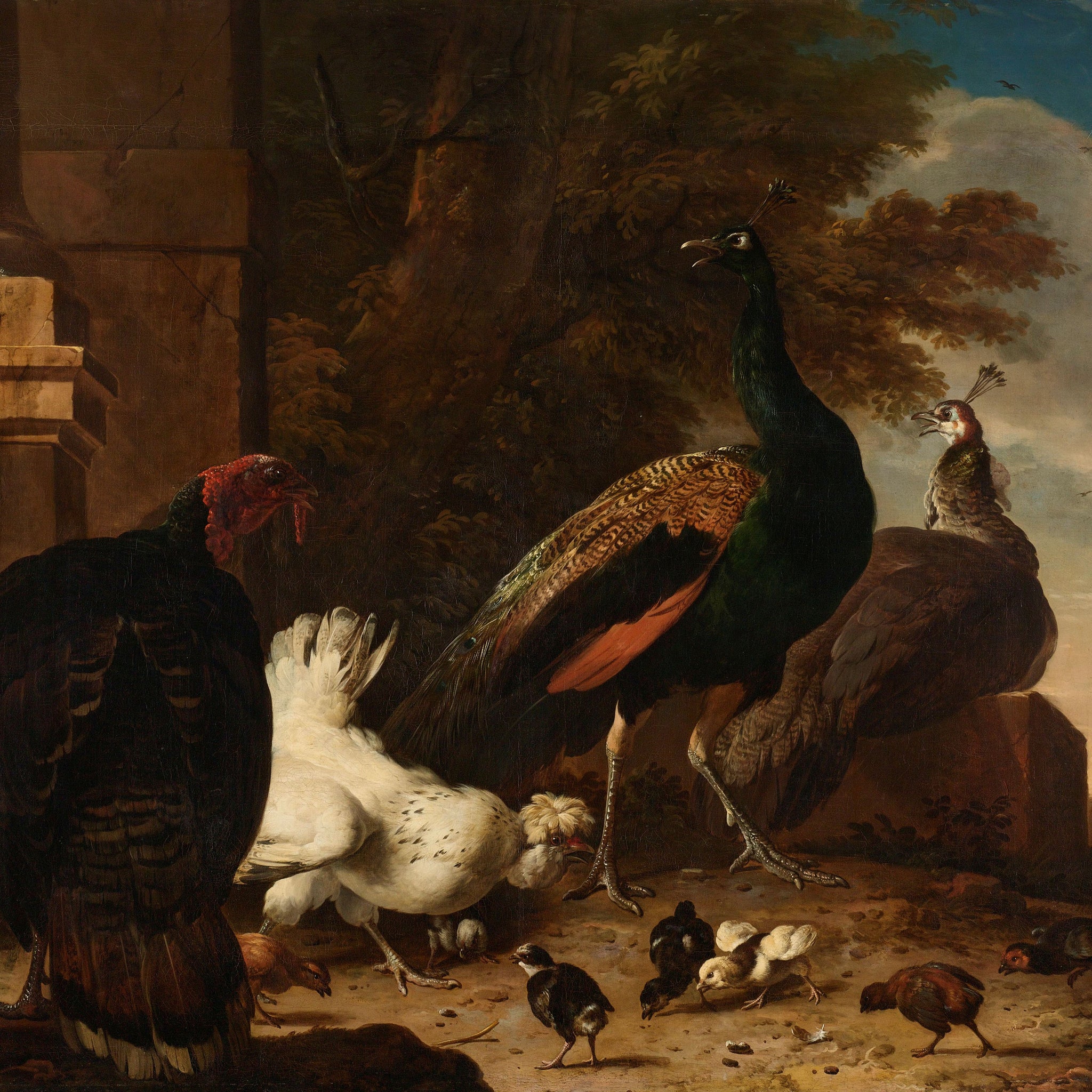 Une poule avec des paons et une dinde, vers 1680 - Melchior d'Hondecoeter