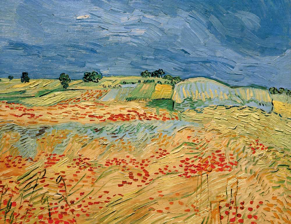 Champs de coquelicots en fleurs - Van Gogh