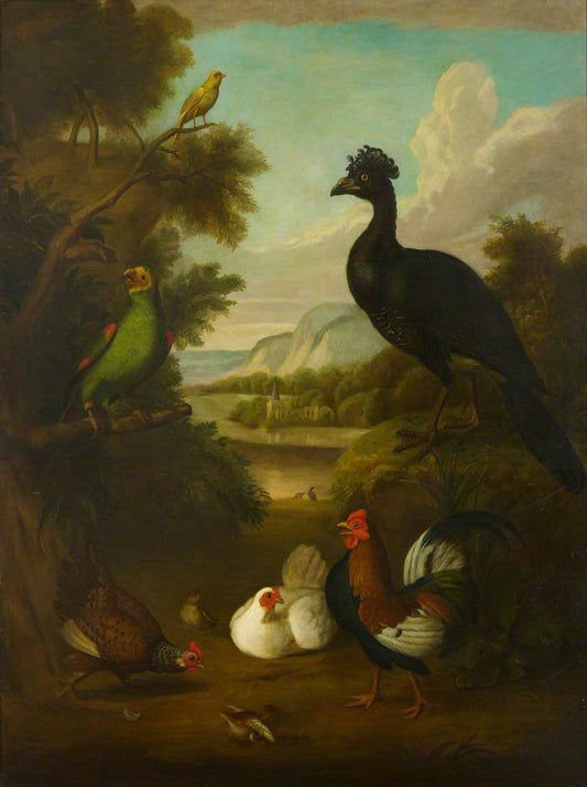 Canari, perroquet vert et autres oiseaux dans un paysage - Tobias Stranover