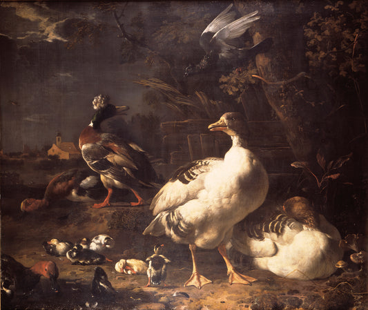 Oies et canards - Melchior d'Hondecoeter