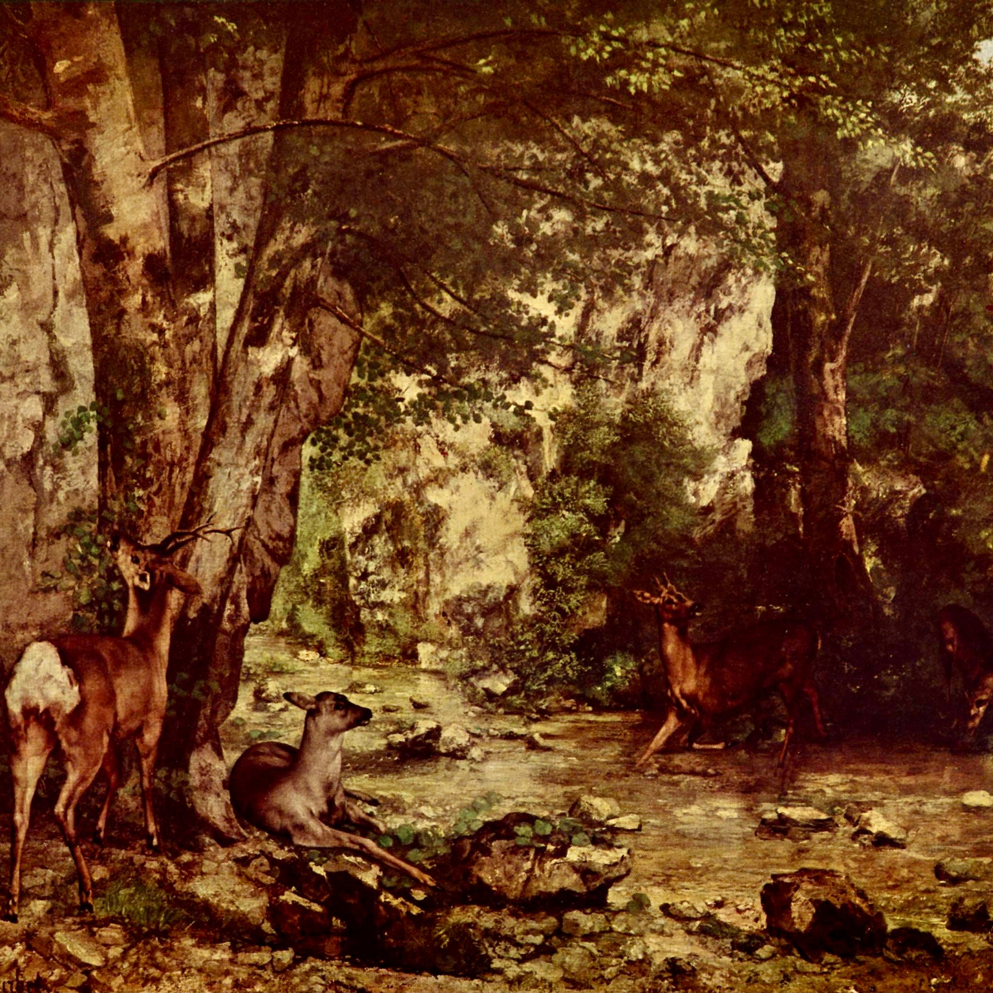 Remise de chevreuils au ruisseau de plaisir fontaine - Gustave Courbet
