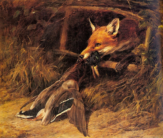 Retour à la tanière du renard, 1896 - Heywood Hardy