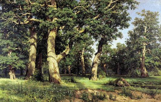 Oak grove - Ivan Shishkin