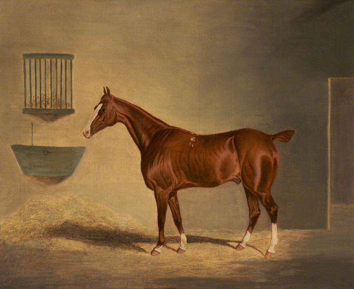 Un cheval alezan dans une écurie - John Frederick Herring Snr