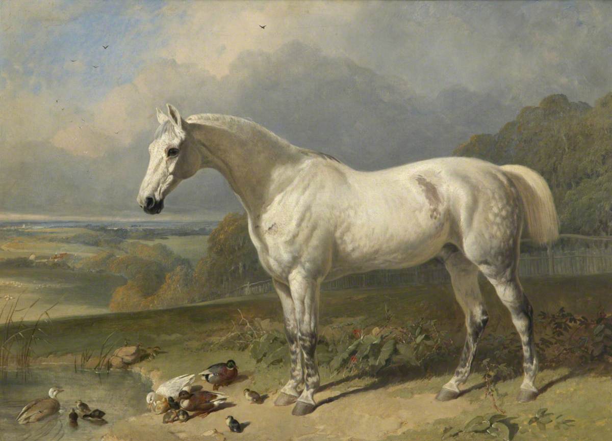 Un cheval gris et des canards dans un paysage - John Frederick Herring Snr