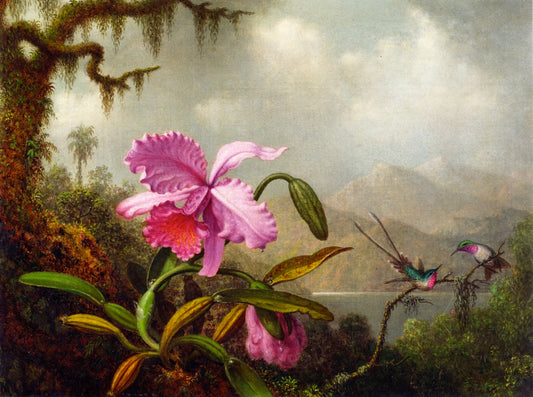 Orchidées et colibris - Martin Johnson Heade