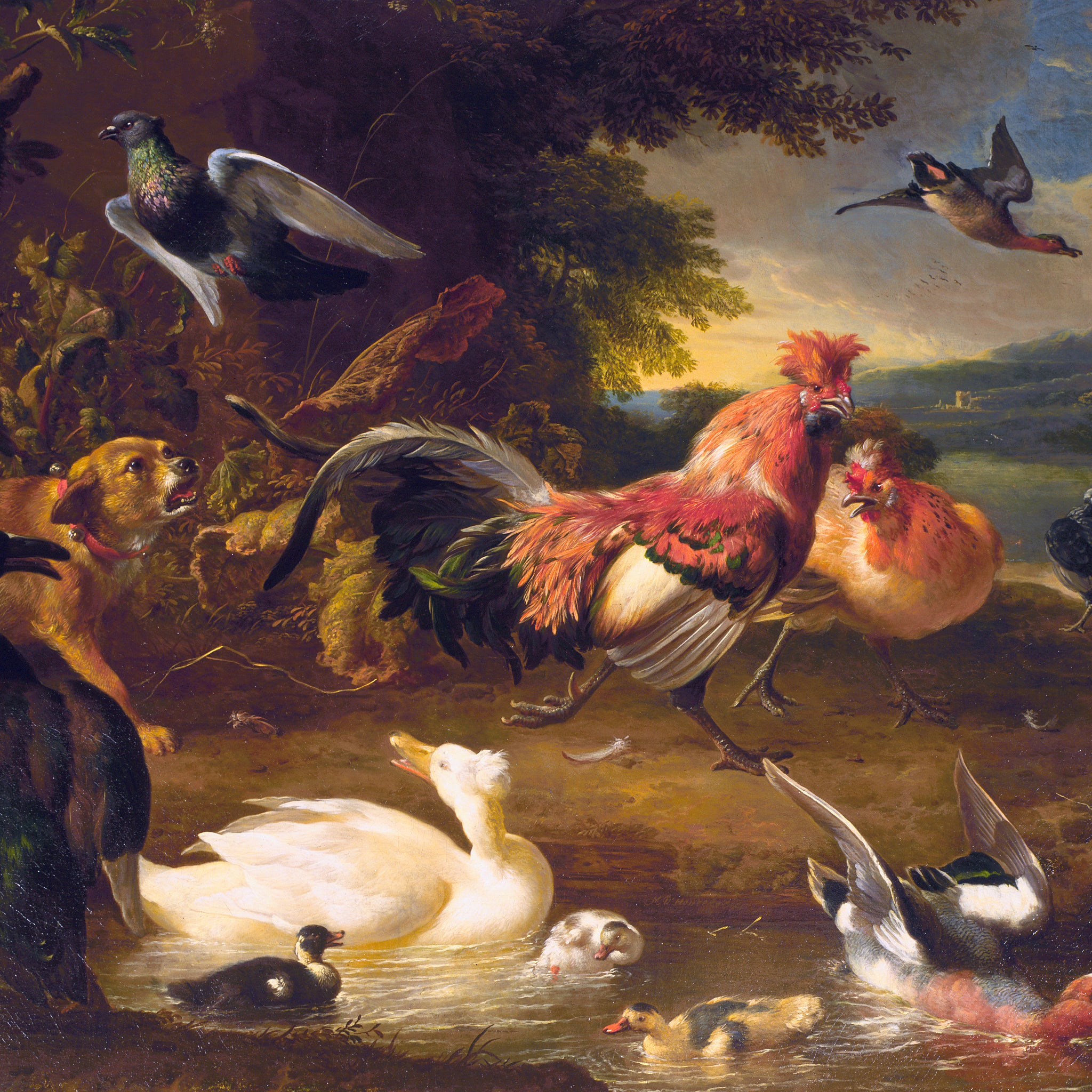 Poules et canards - Melchior d'Hondecoeter