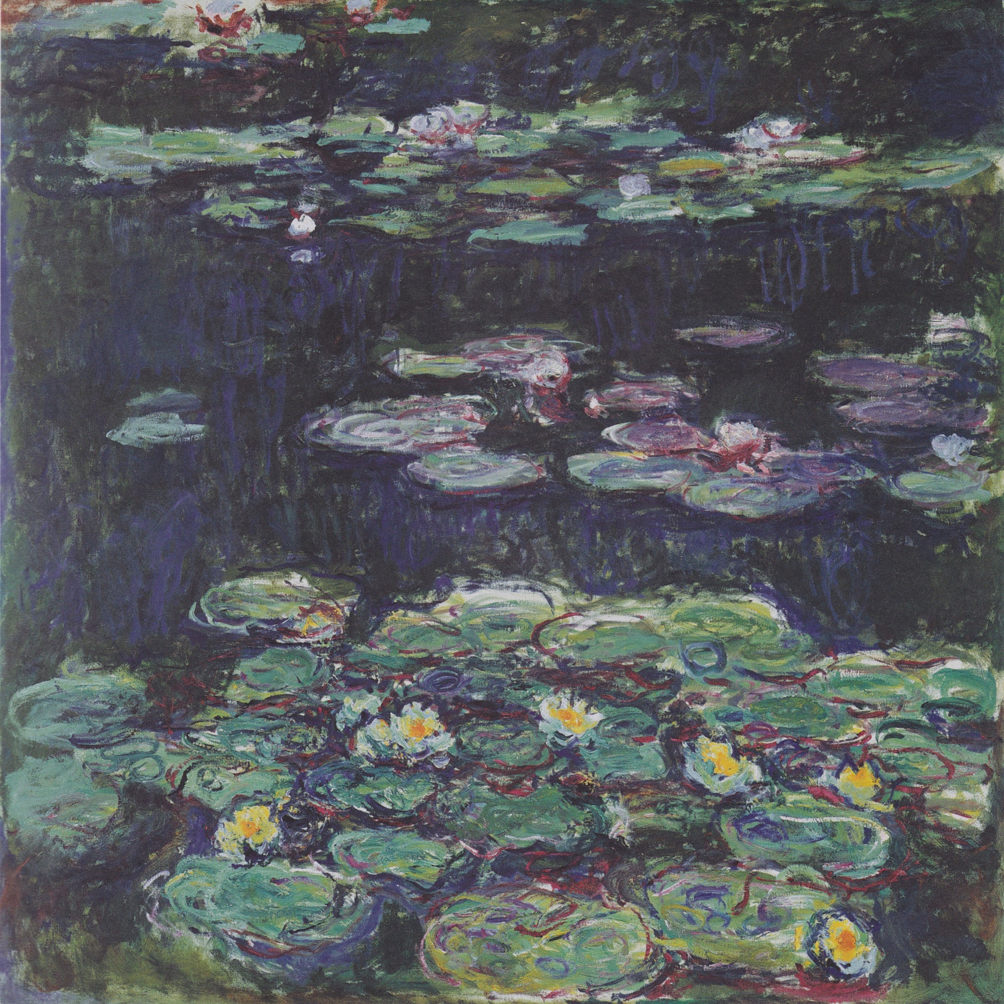 Nénuphars blancs et jaunes - Claude Monet