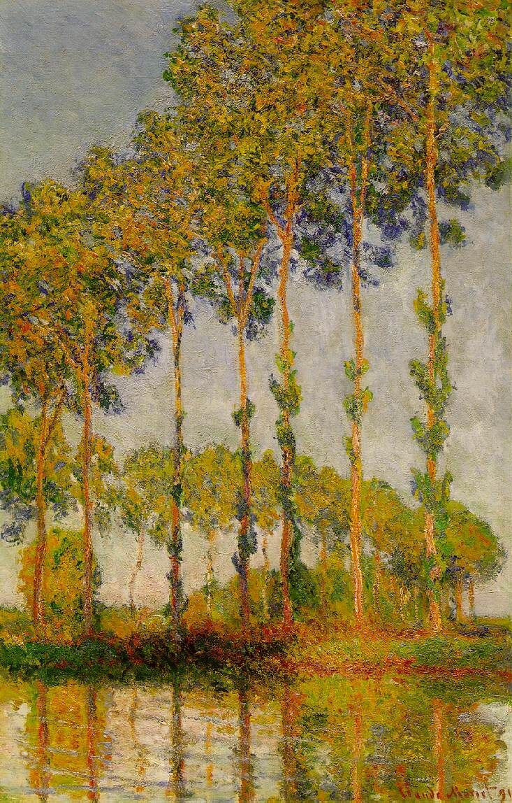 Rangée de peupliers - Claude Monet