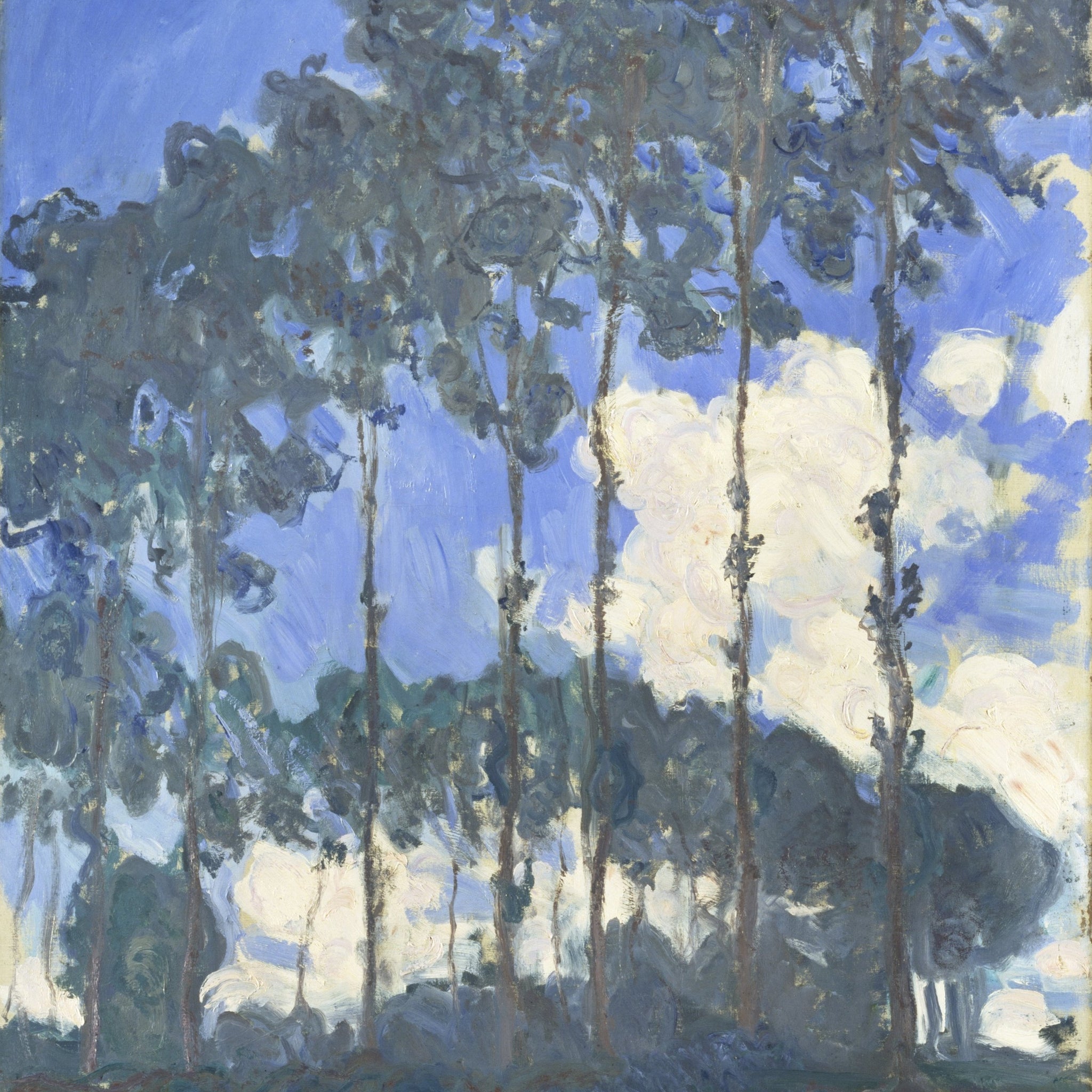 Les Peupliers au bord de l'Epte - Claude Monet