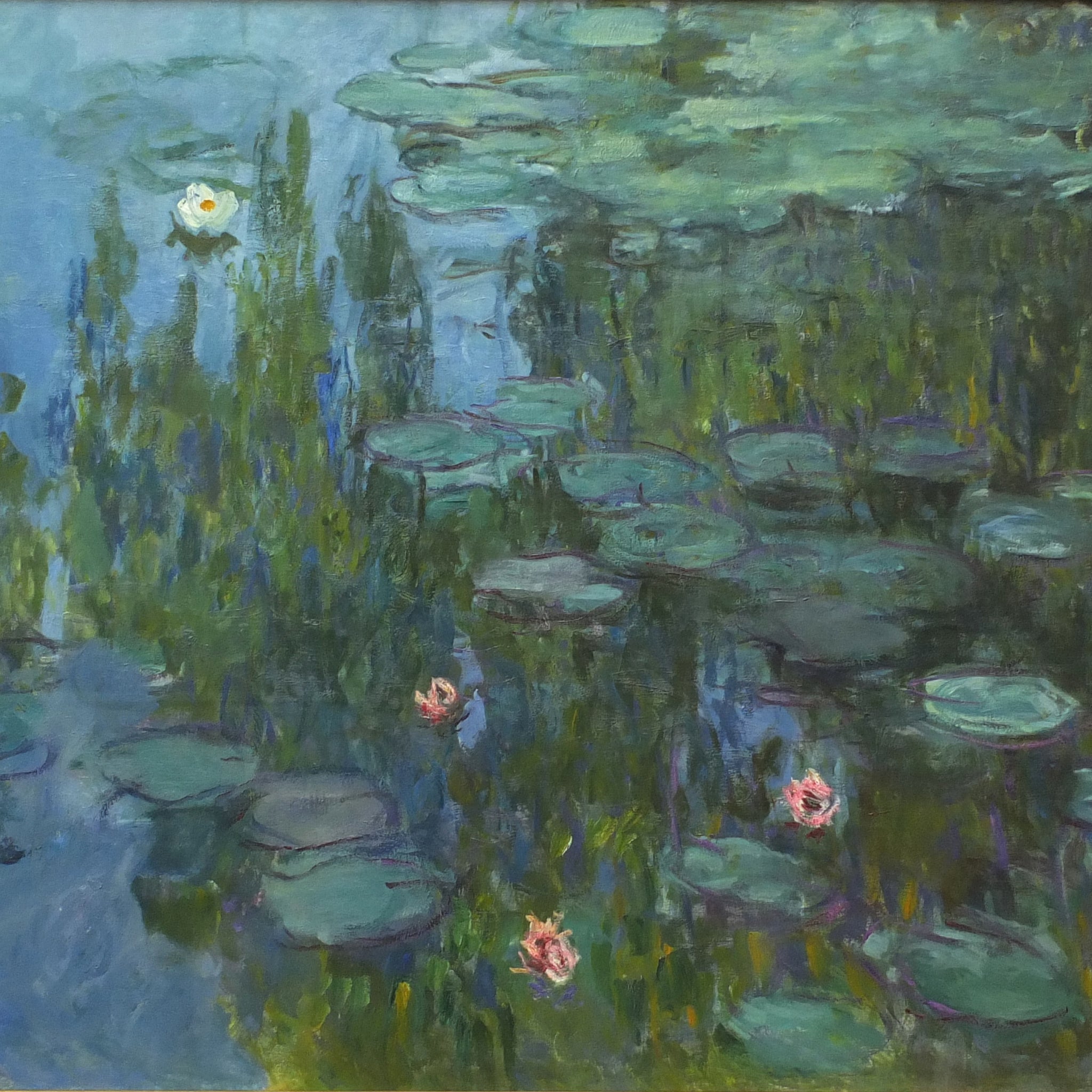 Nénuphars de Claude Monet
