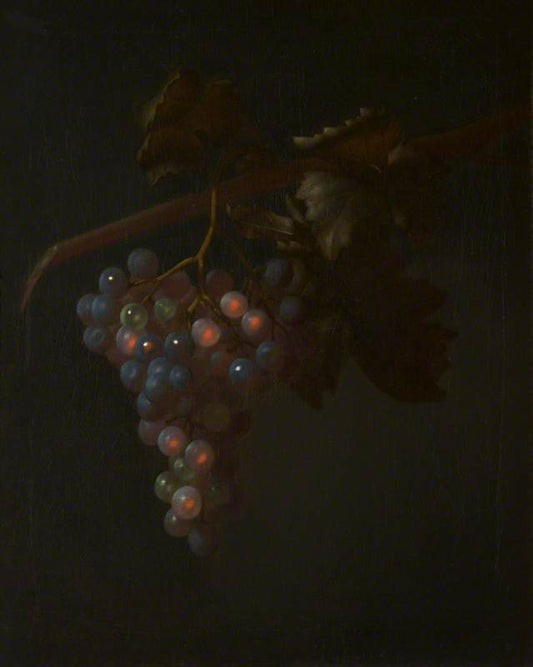 Une grappe de raisin - Tobias Stranover