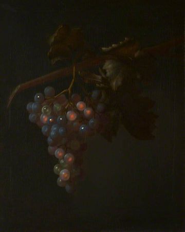 Une grappe de raisin - Tobias Stranover